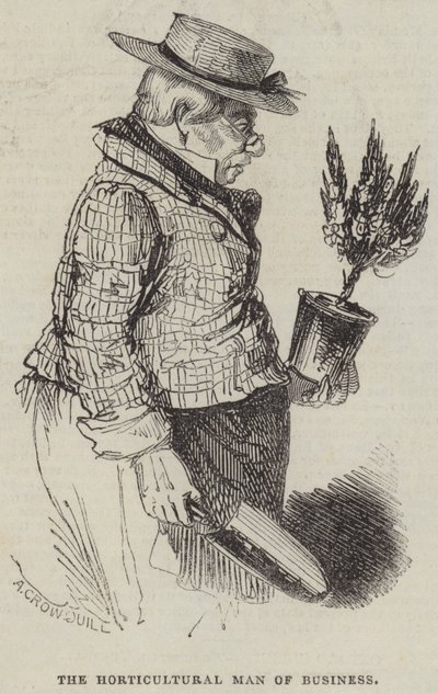 The Horticultural Man of Business by Alfred Crowquill