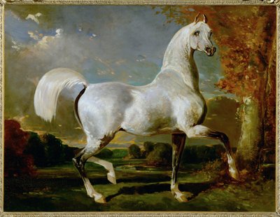 Arab Thoroughbred by Alfred Dedreux or de Dreux