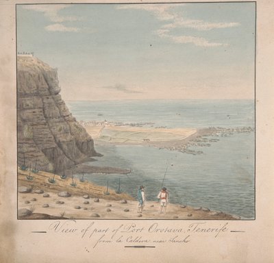 View from part of Port Orotava, Tenerife from La Caldeva, near Sancho by Alfred Diston