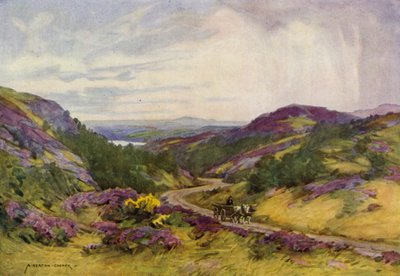 Denmark: Raebild Hills, near Aalborg by Alfred Heaton Cooper