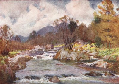 Lake District: Daffodils by the Banks of the Silvery Duddon by Alfred Heaton Cooper