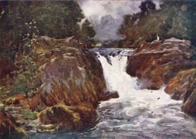 Lake District: Skelwith Force, Langdale by Alfred Heaton Cooper