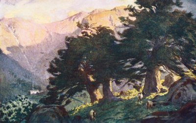 Lake District: The Borrowdale Yews, Evening by Alfred Heaton Cooper
