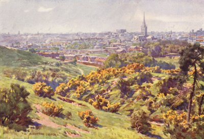 Norwich from Mousehold Heath, Norfolk by Alfred Heaton Cooper