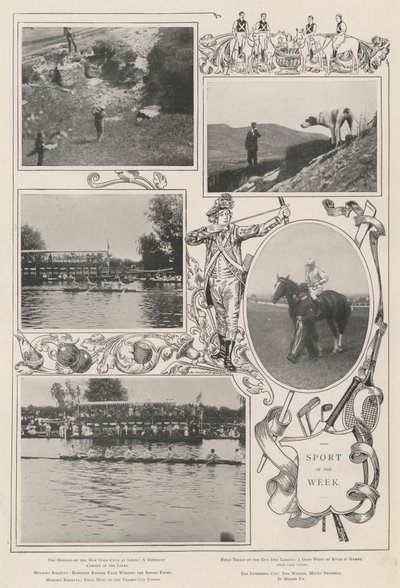 Sport of the Week by Alfred Hugh Fisher