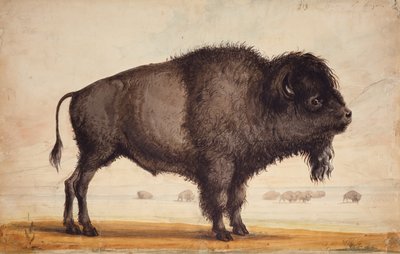 Scenting the Breeze, c.1837 by Alfred Jacob Miller