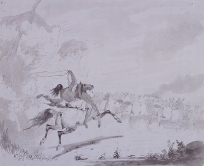 Throwing the Lasso, c.1837 by Alfred Jacob Miller