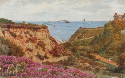 Alum Chine, Bournemouth by Alfred Robert Quinton