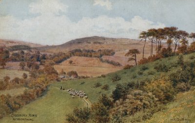 Cissbury Ring Near Worthing by Alfred Robert Quinton