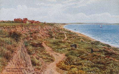 Cliffs, Looking East, Barton-on-Sea by Alfred Robert Quinton