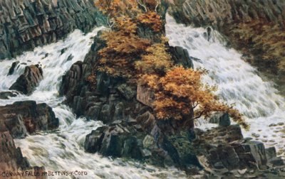 Conway Falls, Near Bettws-y-Coed by Alfred Robert Quinton
