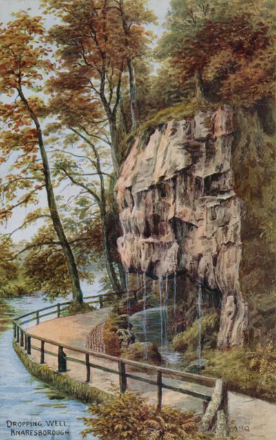 Dropping Well, Knaresborough by Alfred Robert Quinton