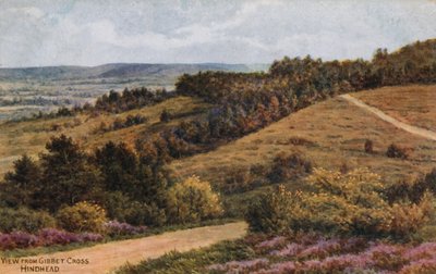 Gibbet Cross, Hindhead by Alfred Robert Quinton