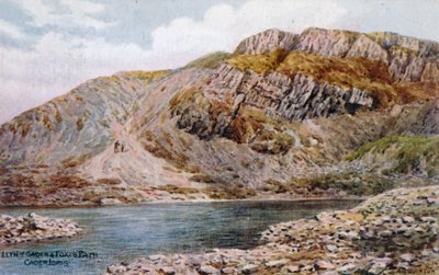 Llyn-y-Gader and Foxes