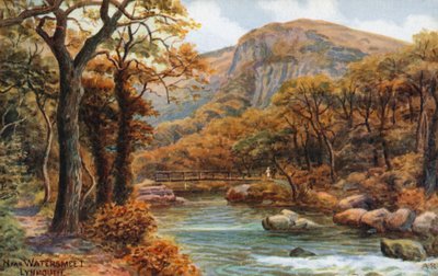 Near Watersmeet, Lynmouth by Alfred Robert Quinton