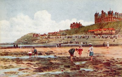 Sheringham, The Beach and Cliffs by Alfred Robert Quinton
