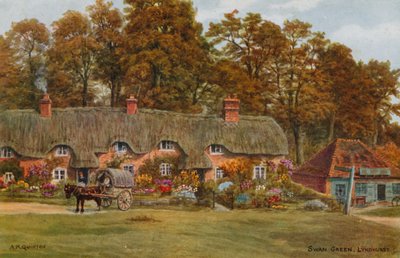 Swan Green, Lyndhurst by Alfred Robert Quinton
