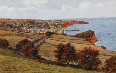 Teignmouth from Torquay Road by Alfred Robert Quinton