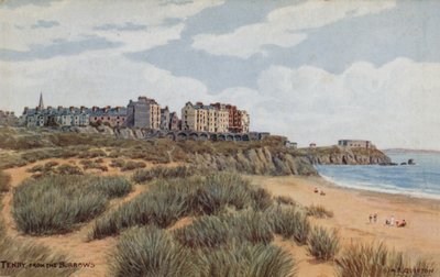Tenby, From The Burrows by Alfred Robert Quinton