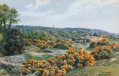 The Common, Tunbridge Wells by Alfred Robert Quinton