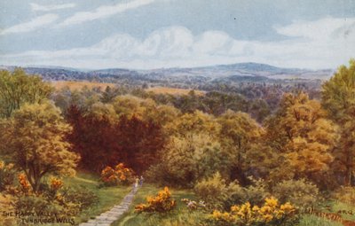 The Happy Valley, Tunbridge Wells by Alfred Robert Quinton