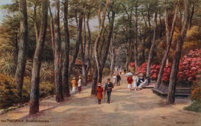 The Pine Walk, Bournemouth by Alfred Robert Quinton