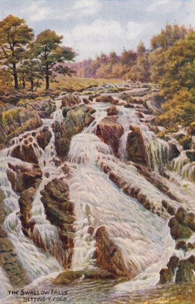 The Swallow Falls, Bettws-Y-Coed by Alfred Robert Quinton
