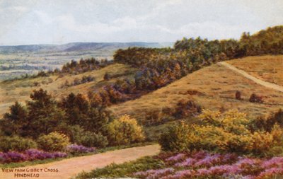 View from Gibbet Cross, Hindhead by Alfred Robert Quinton