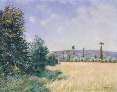 Sahurs Meadows in Morning Sun, 1894 by Alfred Sisley