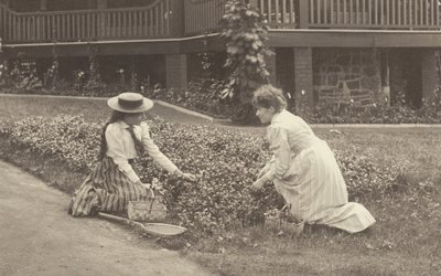 A Flowerbed at Oaklawn by Alfred Stieglitz