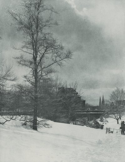 A Winter Sky—Central Park by Alfred Stieglitz
