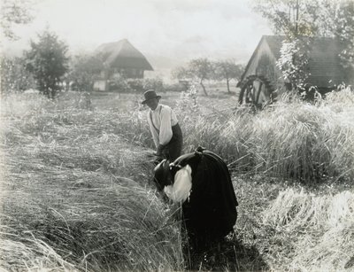 Early Morning by Alfred Stieglitz