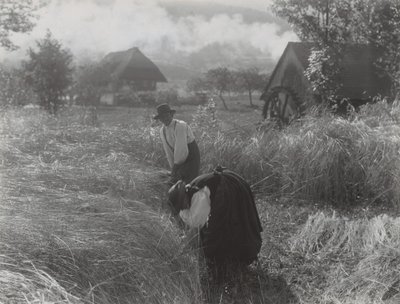 Harvesting, Black Forest by Alfred Stieglitz