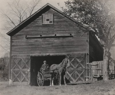 Horse and Carriage by Alfred Stieglitz