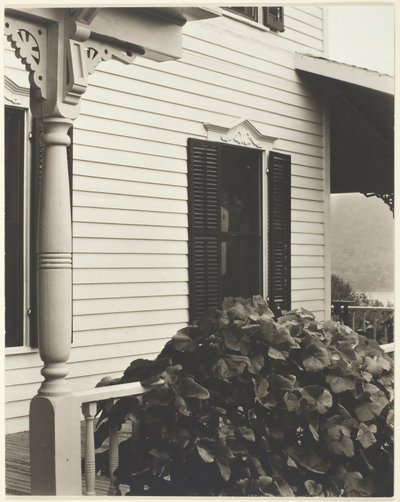 House and Grape Leaves, 1934 by Alfred Stieglitz