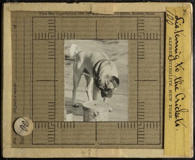 Listening to the Crickets by Alfred Stieglitz