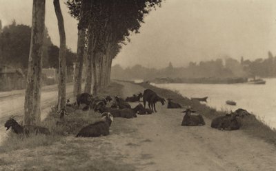 On the Seine—Near Paris by Alfred Stieglitz