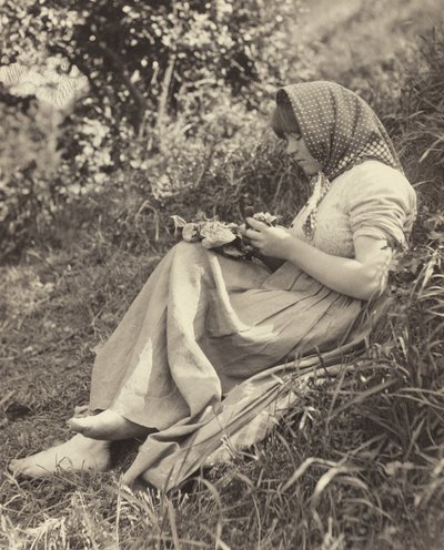 Sunlight Effect by Alfred Stieglitz