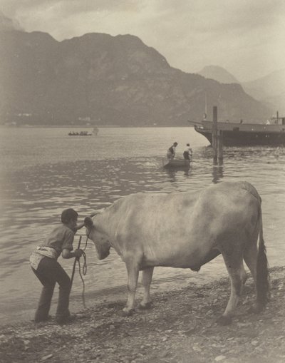 The Unwilling Bath by Alfred Stieglitz