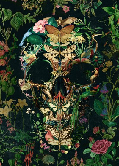 Dark Botanical Skull by Ali Gulec