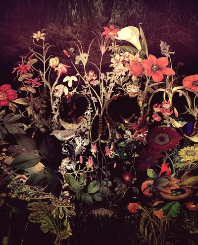 Dark Floral Skull by Ali Gulec