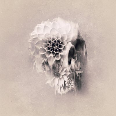Ethereal Floral Skull by Ali Gulec