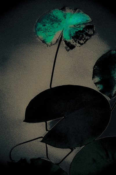 Emerald Spring, from the series Spring, 2020 by Alice Gur-Arie