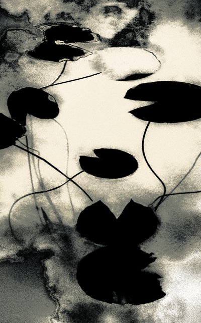 Gold Dust Shadows, from the series Spring, 2020 by Alice Gur-Arie