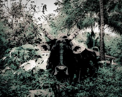 The Lodge Near Periyar, 2020 by Alice Gur-Arie