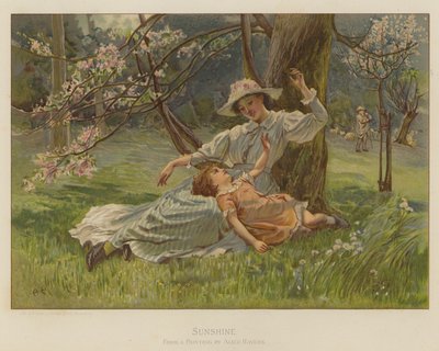 Sunshine by Alice Havers
