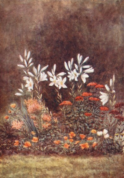 New Forest: The Lily Border, July by Alice Julia Argles
