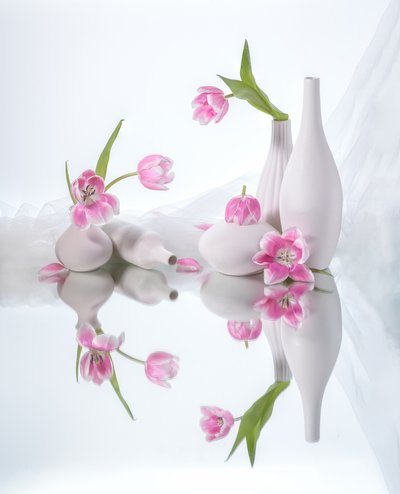 Pink Tulip Reflections by Alice Sheng