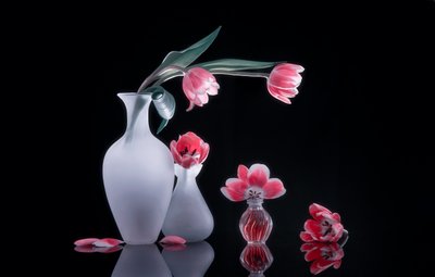 Pink Tulips Still Life by Alice Sheng