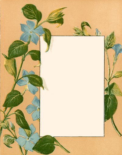 February by Alicia Amy Leith